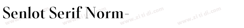 Senlot Serif Norm字体转换